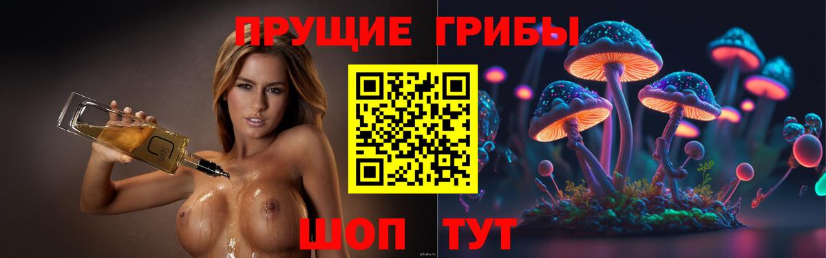 Псилоцибиновые грибы Cubensis Тара